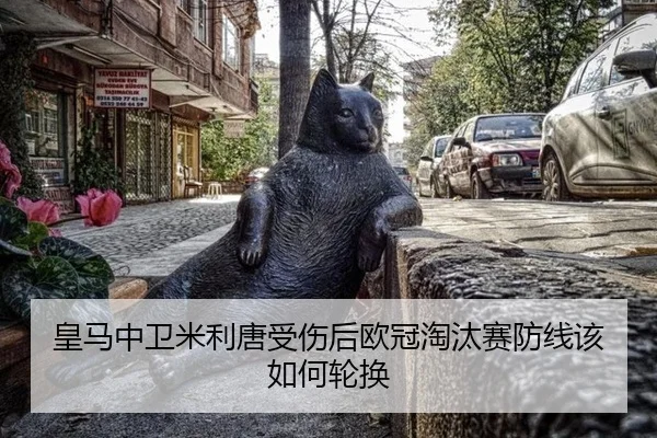 皇马中卫米利唐受伤后欧冠淘汰赛防线该如何轮换